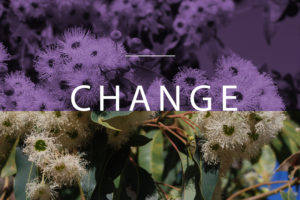 Change Management communication services