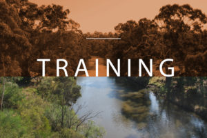Training design and elearning
