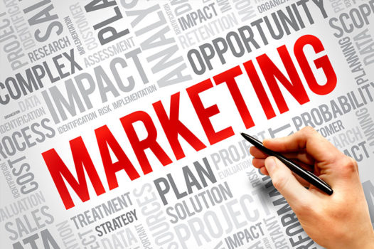 Marketing strategy and plan